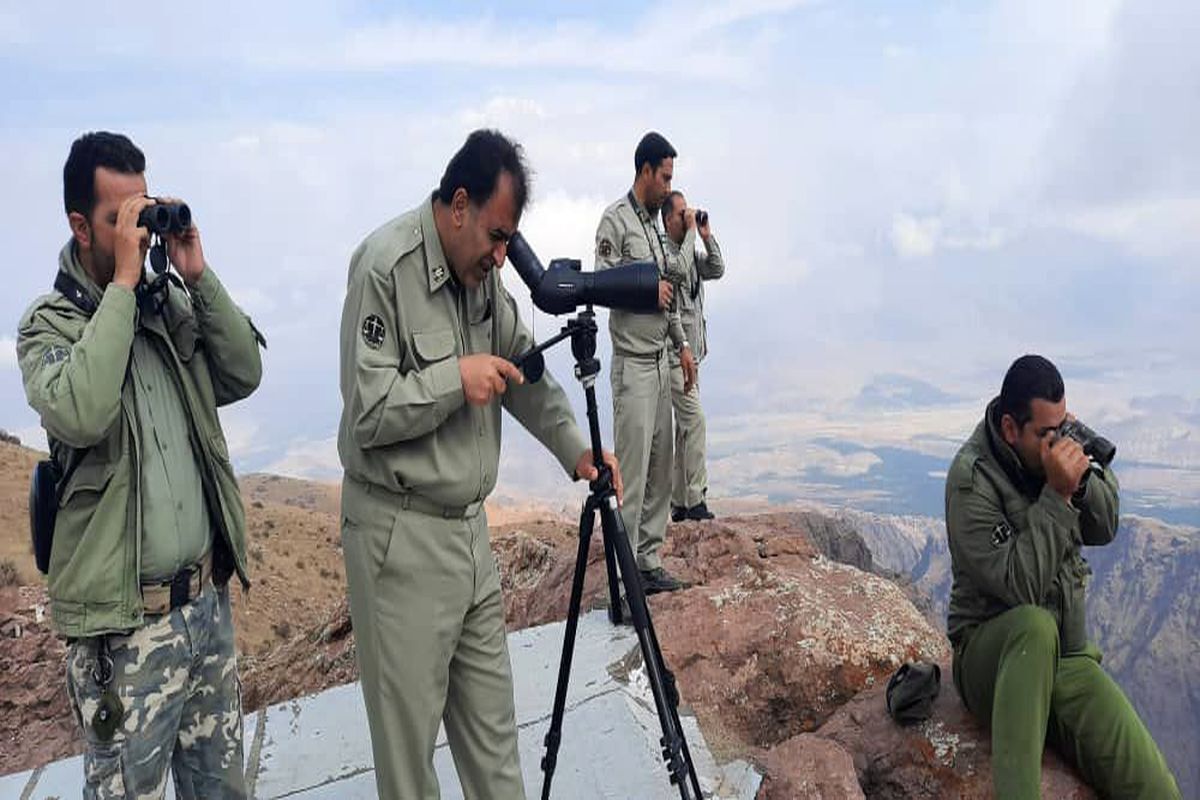 آغاز طرح سرشماری حیات وحش در مناطق گرمسیری استان آغاز طرح سرشماری حیات وحش در مناطق گرمسیری استان