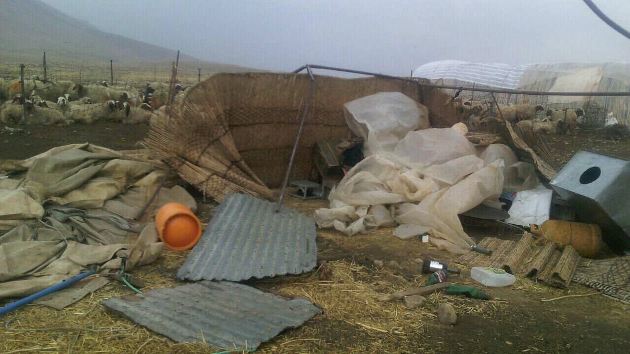 خسارت ۱۵۰ میلیاردی بارش‌های اخیر به عشایر استان 
