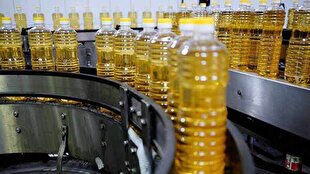تولید روغن خوراکی با قیمت جدید آغاز شد