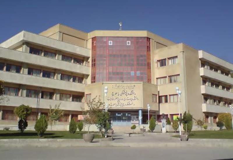 دو استاد دانشگاه علوم پزشکی یاسوج جزء برترین دانشمندان جهان