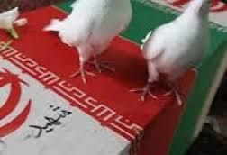 شهادت ۲ نفر بر اثر حمله اشرار به خودرو حامل صندوق اخذ رای در منطقه جکیگور