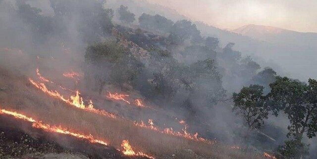 درخواست بالگرد آب پاش و کمک های مردمی برای مهار آتش در منطقه خائیز  