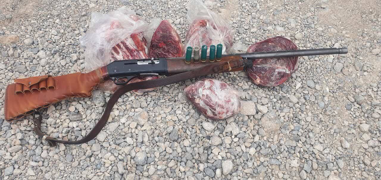 کشف و ضبط گوشت خرس ویک قبضه اسلحه در یکی از روستاهای دنا کشف و ضبط گوشت خرس ویک قبضه اسلحه در یکی از روستاهای دنا