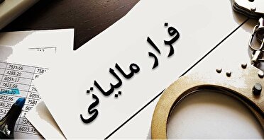 تشکیل ۱۷ پرونده پولشویی با ۳۱۹ میلیارد تومان فرار مالیاتی در استان