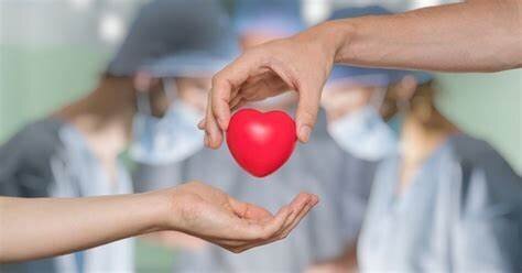 چهاردهمین ایثار اهدای عضو در کهگیلویه و بویراحمد چهاردهمین ایثار اهدای عضو در کهگیلویه و بویراحمد