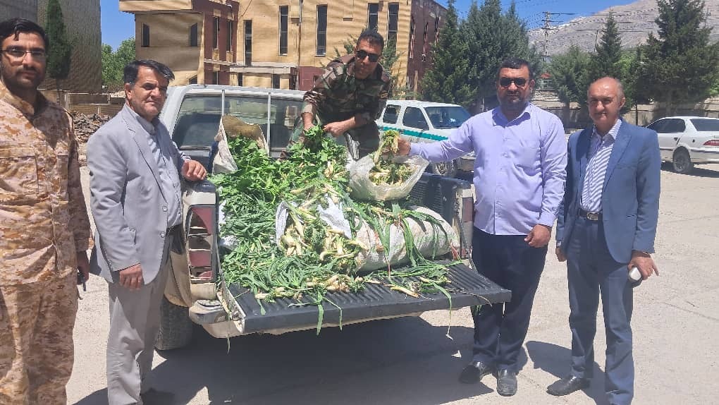 توقیف محمولههای چوب قاچاق و گیاهان مرتعی غیر مجاز توقیف محمولههای چوب قاچاق و گیاهان مرتعی غیر مجاز