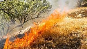 آتش سوزی در جنگلها و مراتع منطقه میرغضب در بخش کبکیان