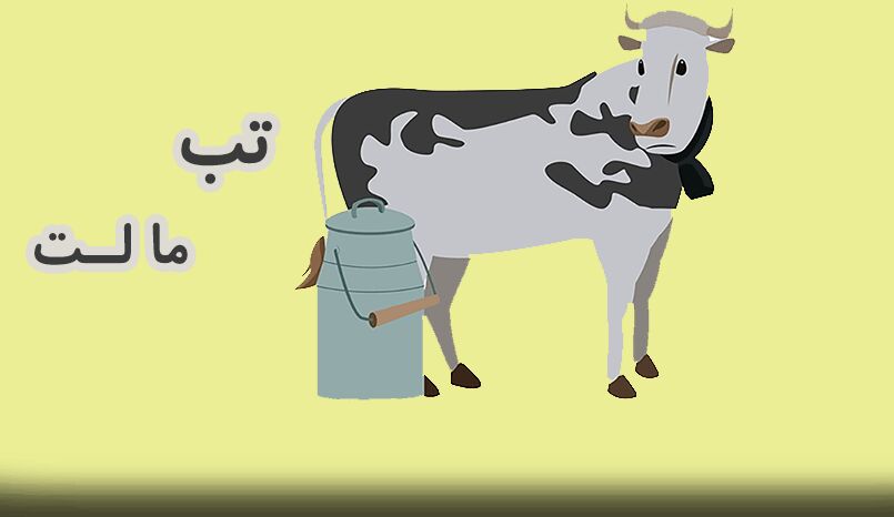 مراقب بروز بیماری تب مالت با آغاز فصل گرما باشیم