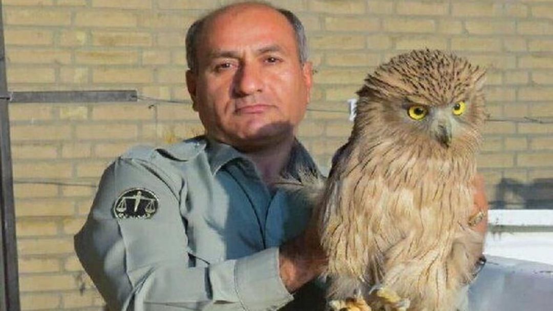 شناسایی قاتل محیط‌بان «خائیز» 