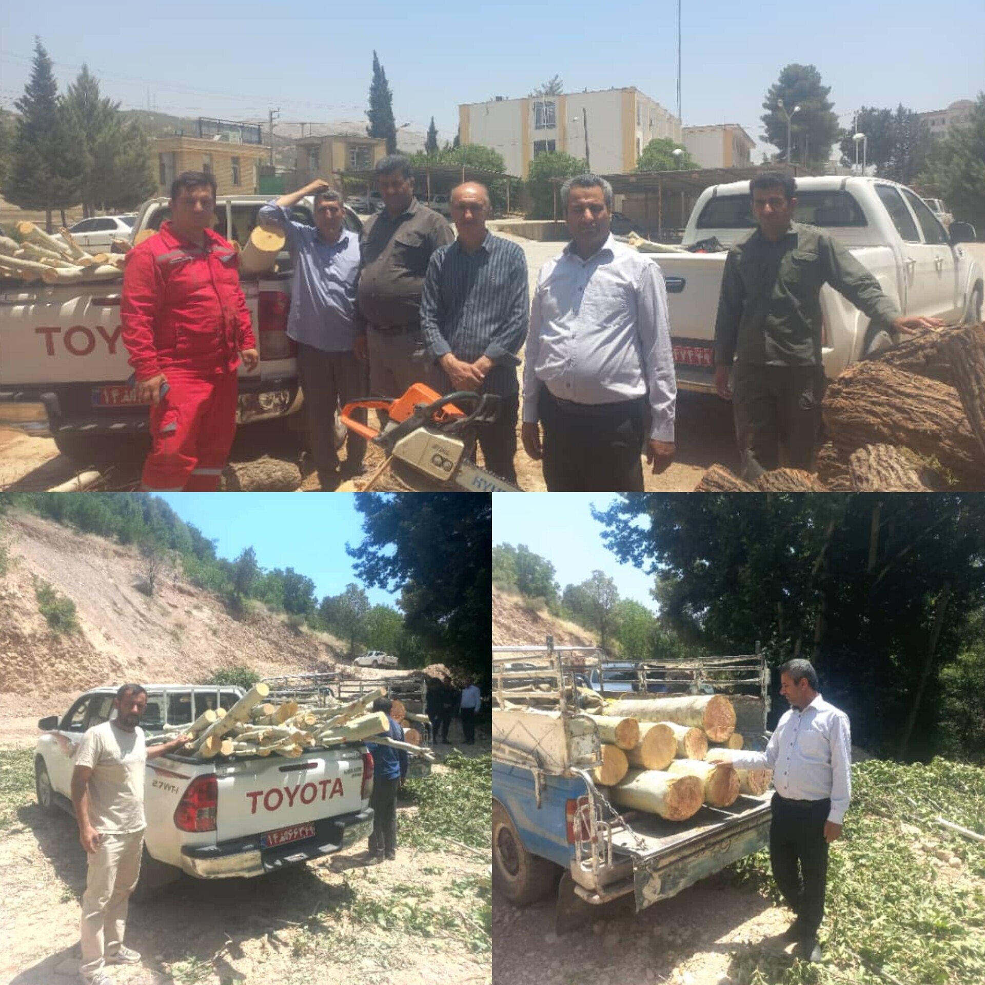 متخلف قطع درختان چنار تنگ سریز دستگیر شد متخلف قطع درختان چنار تنگ سریز دستگیر شد