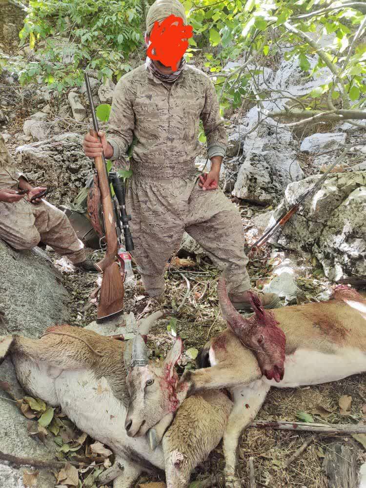 دستگیری شکارچی متخلف حرفه‌ای دنای شرقی 