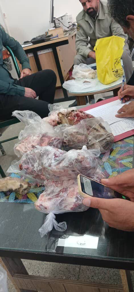 کشف محموله سنگین شکار غیر مجاز قوچ و بز وحشی در استان 