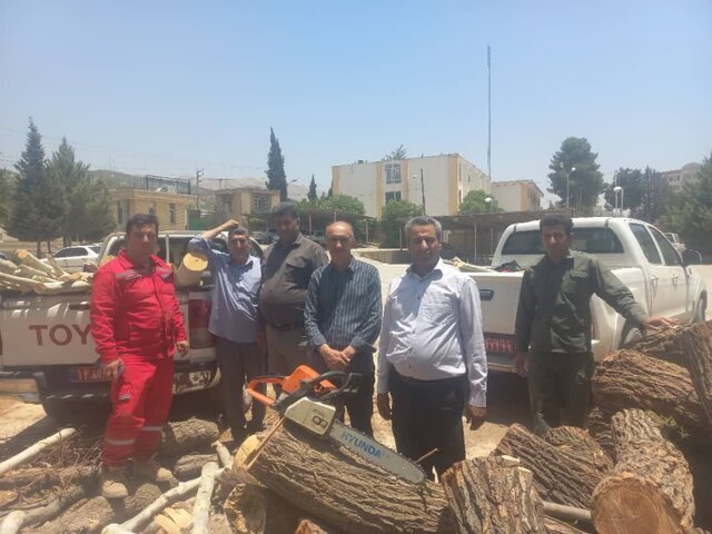 بازداشت ۱۰۱ متخلف در زمینه قطع درخت و قاچاق چوب در استان