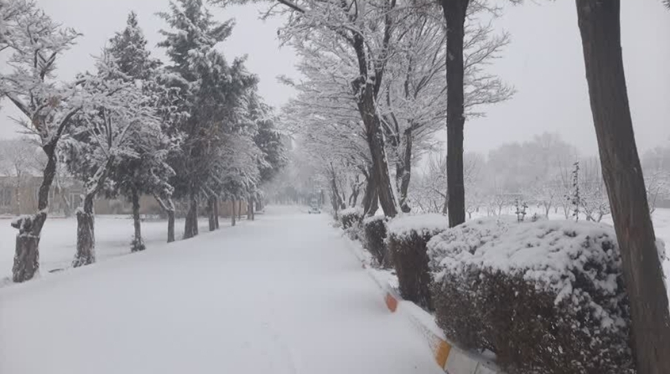 ورود سامانه بارشی به استان از امروز