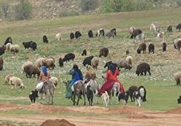 بازگشایی و مرمت همه جاده ها و ایل راه های عشایر استان 