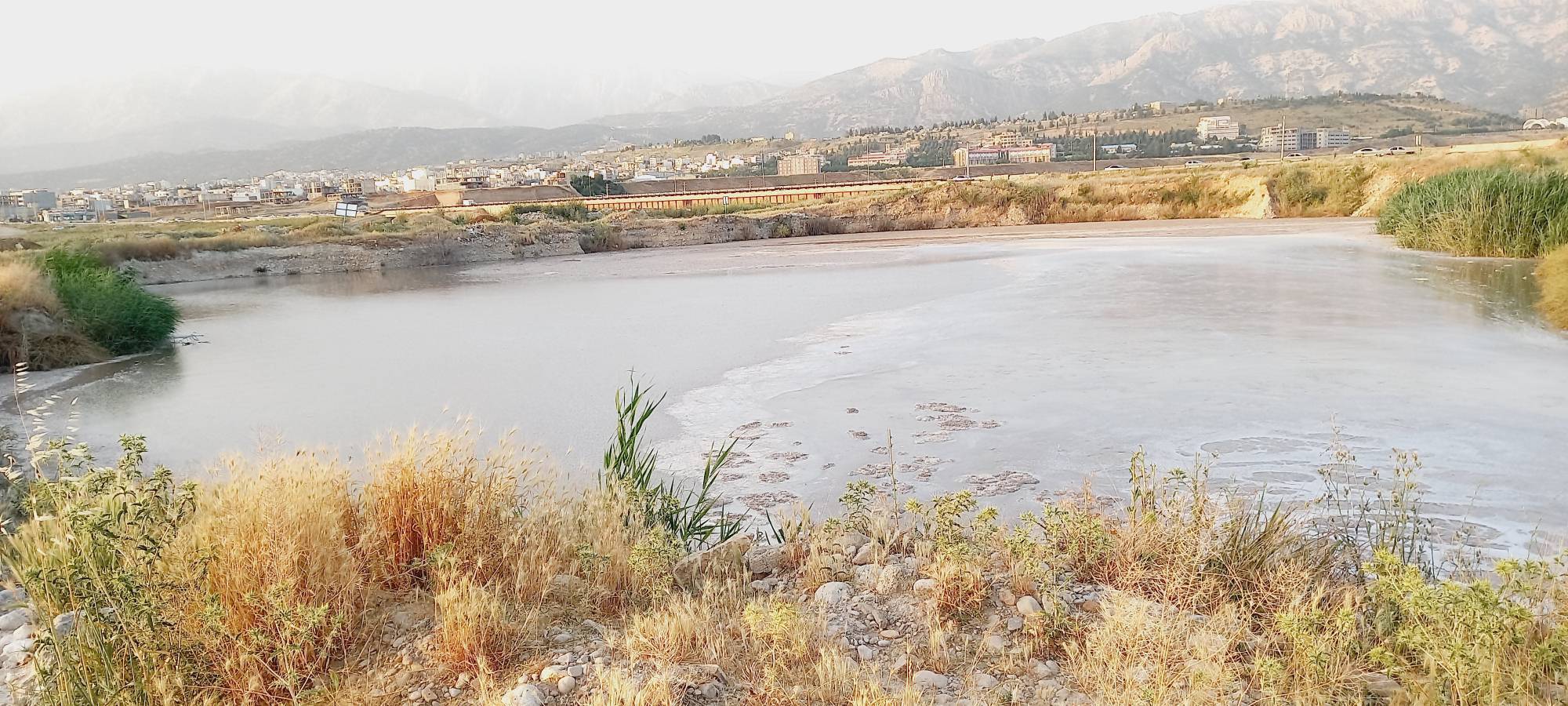 پساب کارخانه قند عامل بوی نامطبوع در محدوده پل سوم بشار 