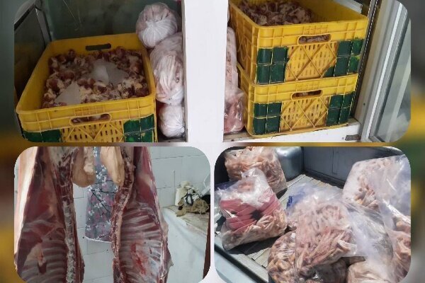 معدوم سازی ۲۲۸ کیلوگرم فرآورده خام دامی غیربهداشتی در یاسوج