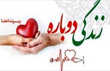 هفتمین ایثار ماندگار در یاسوج هفتمین ایثار ماندگار در یاسوج