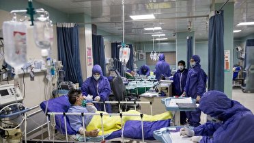رئیس دانشگاه علوم پزشکی یاسوج؛ احتمال تغییر رنگ کل استان به وضعیت قرمز