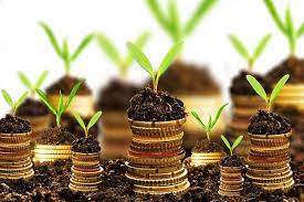 سایت سرمایه گذاری در یاسوج راه اندازی می شود