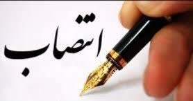 انتصاب سرپرست معاونت غذا و دارو در دانشگاه علوم پزشکی یاسوج
