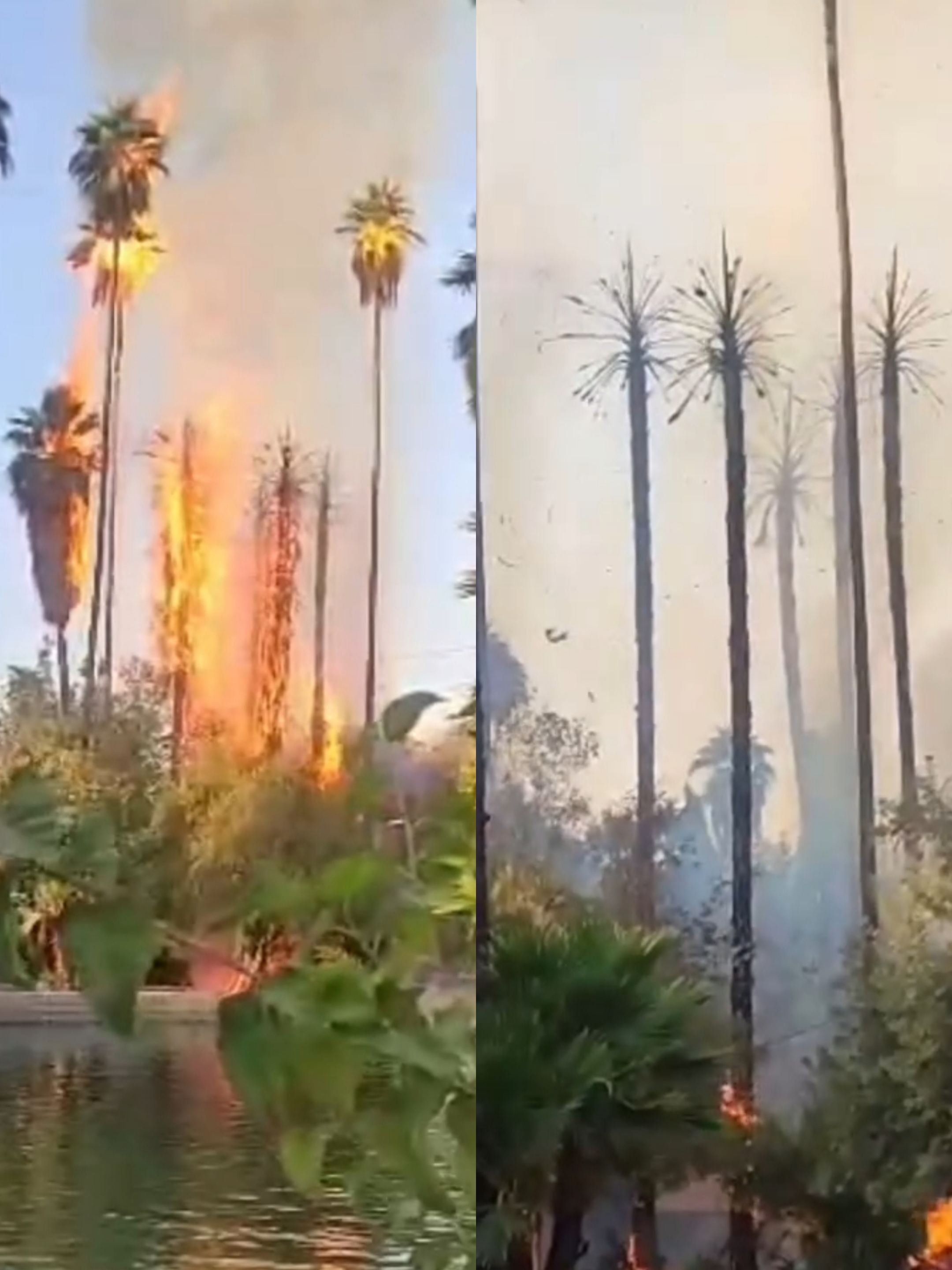 واکنش به آتش سوزی نماد گردشگری کهگیلویه/باغ چشمه بلقیس 