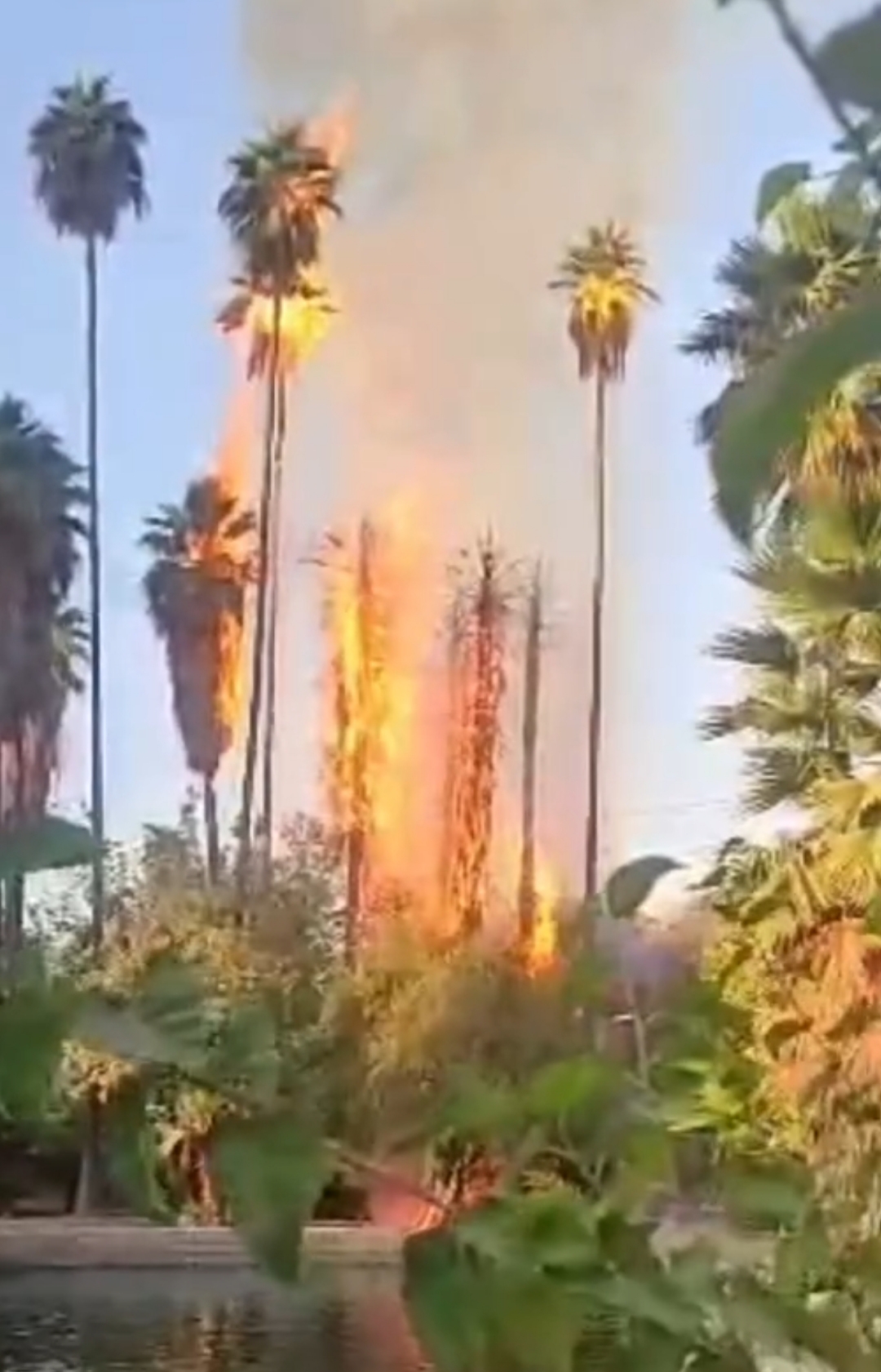  ورود دستگاه قضایی با روایت های متناقض آتش سوزی باغ چشمه بلقیس