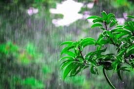 پیش بینی رگبار باران و رعد و برق برای ۲۳ استان
