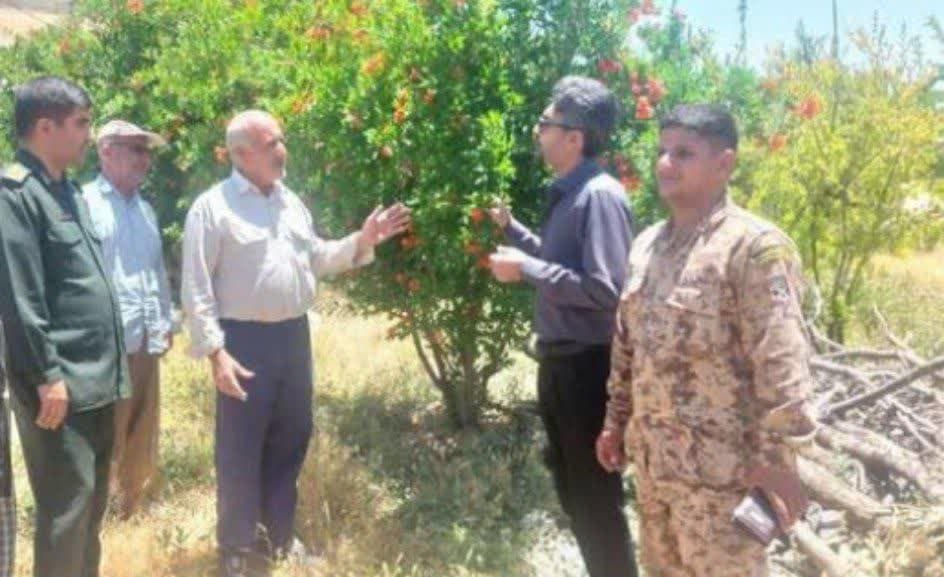  رزمایش جهادی دامپزشکی و جهادکشاورزی در منطقه درب کلات بخش پاتاوه