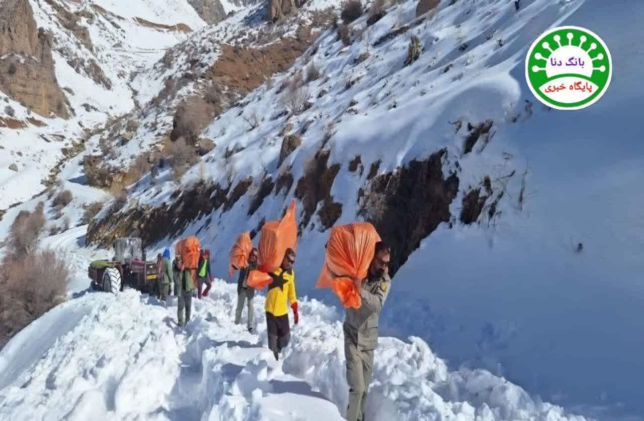 علوفه‌دهی به حیات وحش دنا با مشارکت تشکل‌های مردمی