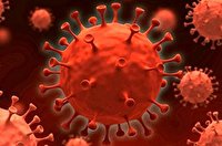 زنگ خطر به صدا درآمد؛ شناسایی ۱۲ بیمار مبتلا به کرونای جهش یافته در کهگیلویه و بویراحمد